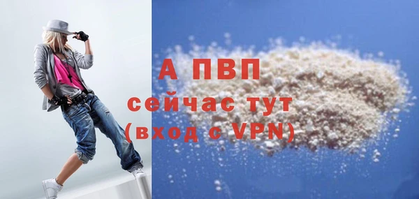 гидра Осинники