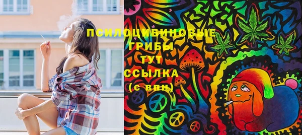 мяу мяу мука Осташков