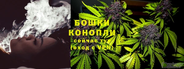 гидра Осинники