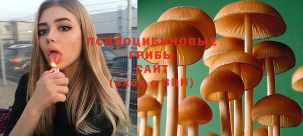 гидра Осинники