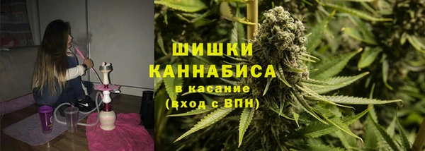 гидра Осинники