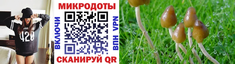 Галлюциногенные грибы Magic Shrooms наркота Красноуральск